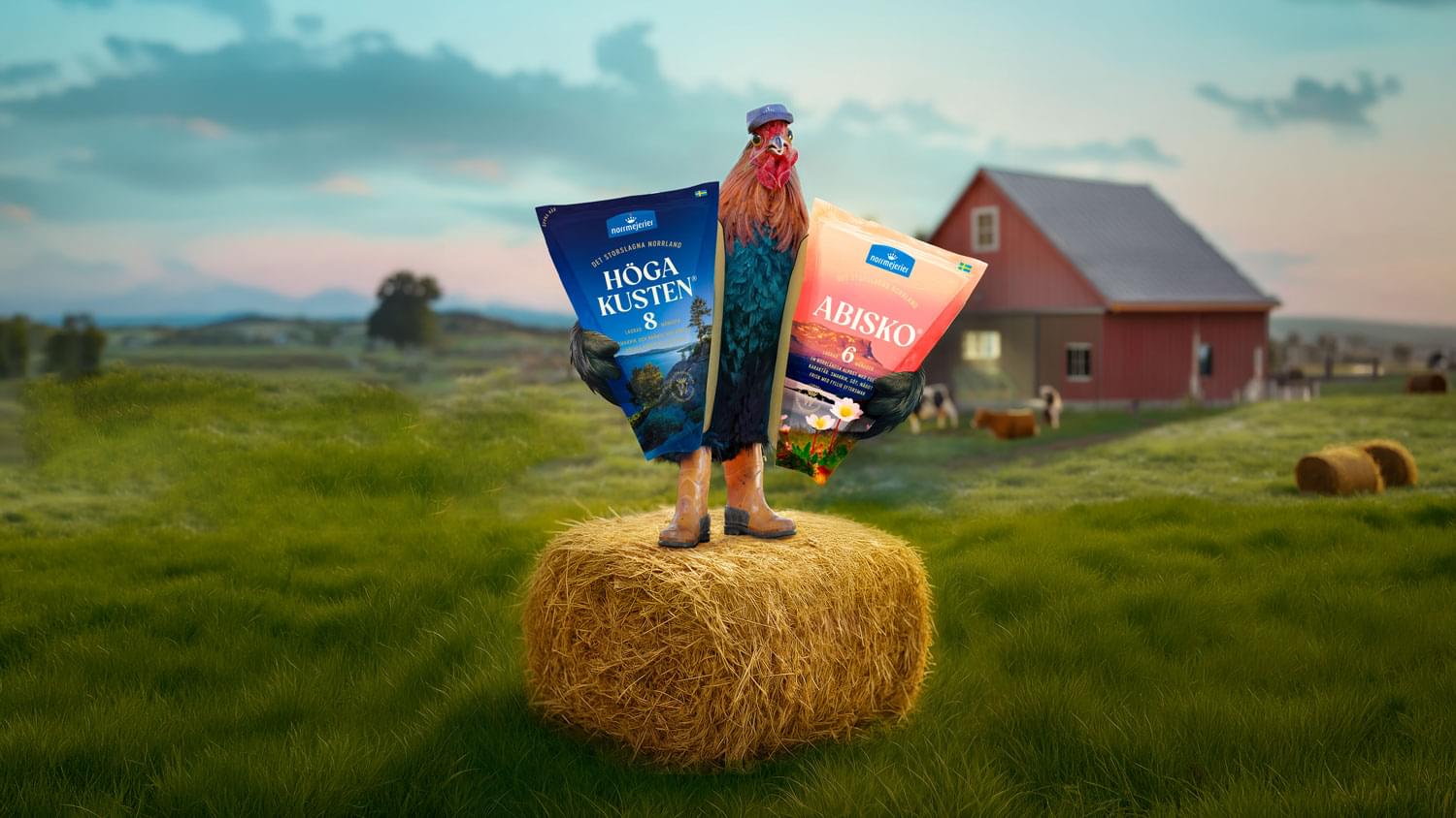 Höga Kusten och Abisko