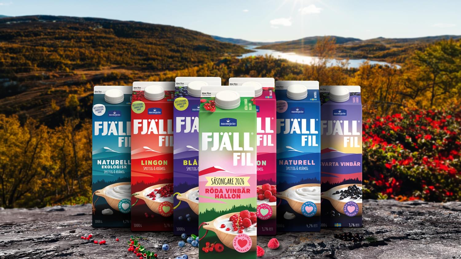 Fjällfil
