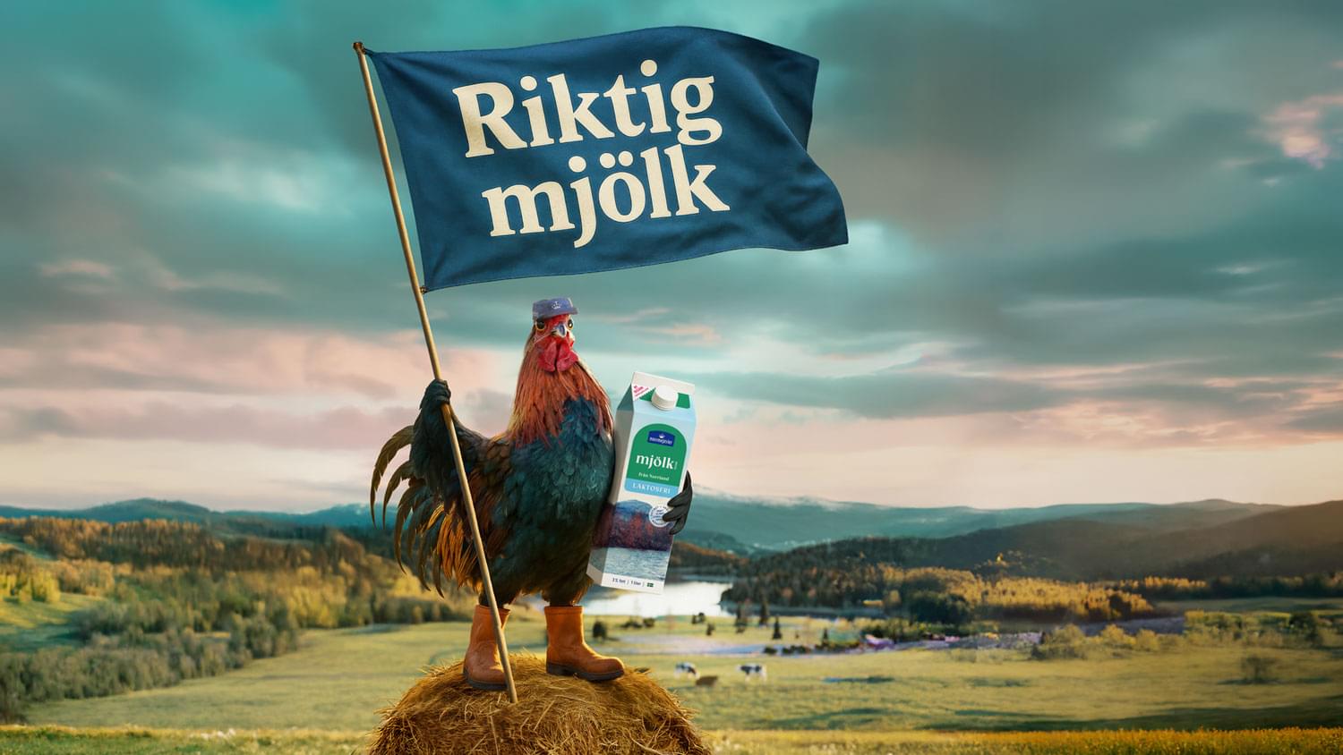 Riktig laktosfri mjölk!