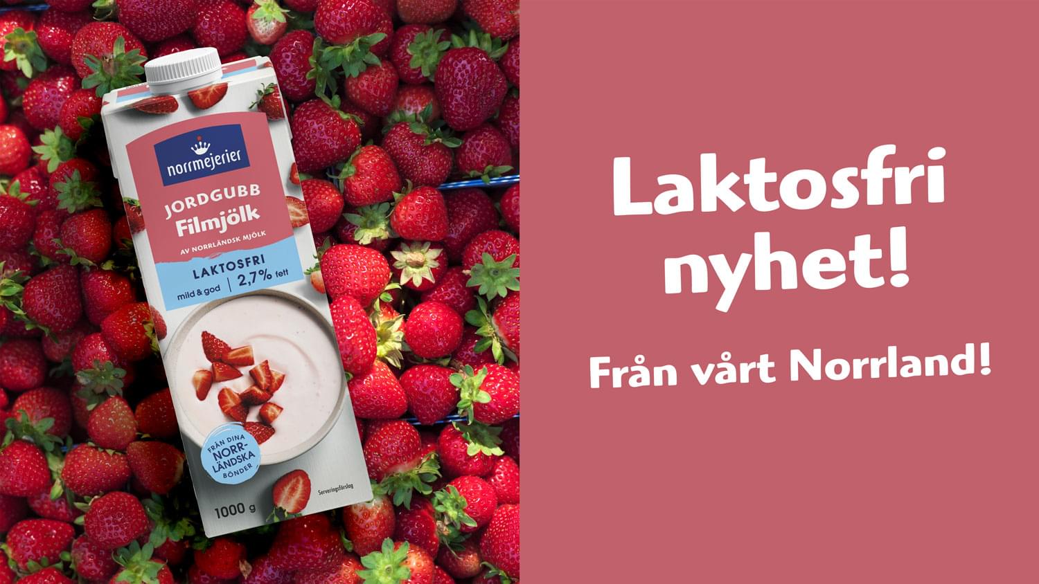 NYHET Vecka 36 - Laktosfri Jordgubbsfil